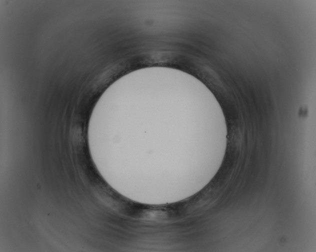X0000091990220200710041136