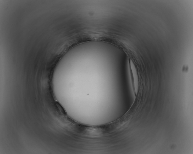 X0000091990221200710041136