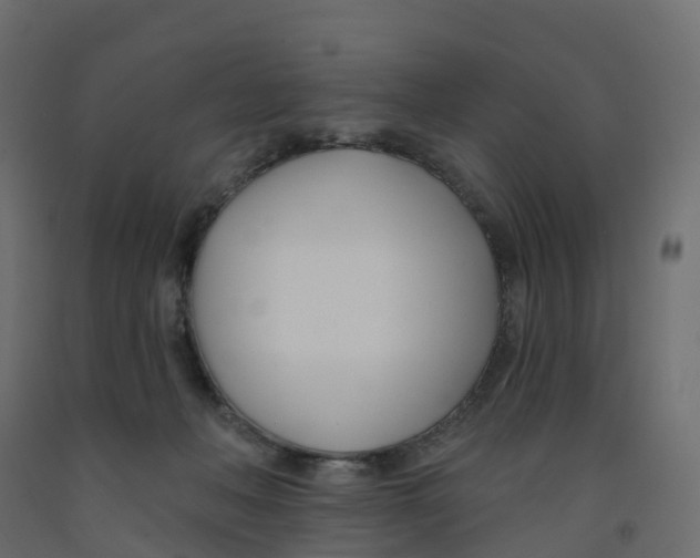 X0000091990222200710041136
