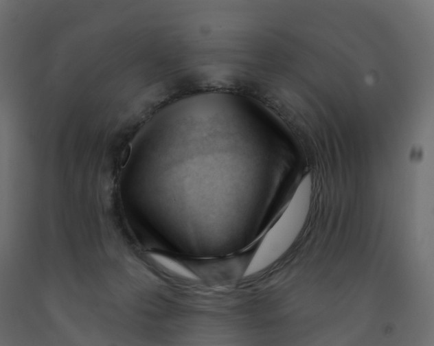X0000091990223200710041136