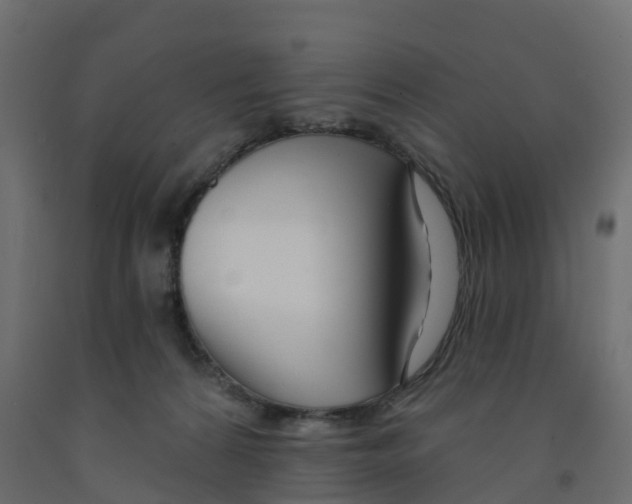 X0000091990224200710041136