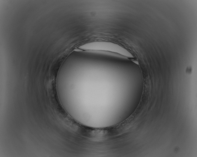 X0000091990225200710041136