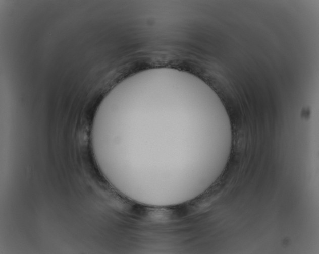 X0000091990226200710041136
