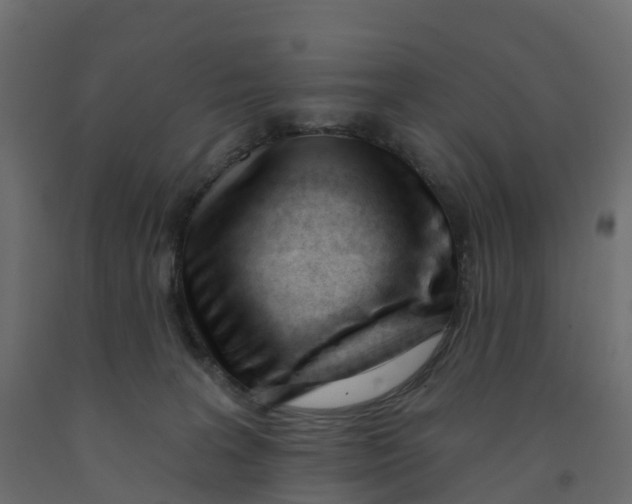 X0000091990227200710041136