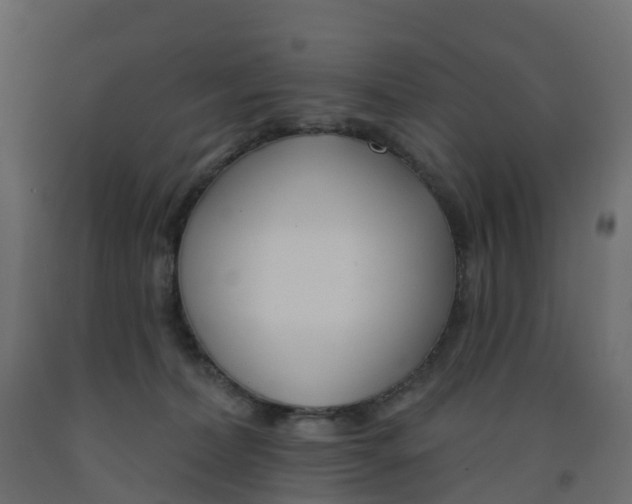 X0000091990228200710041136