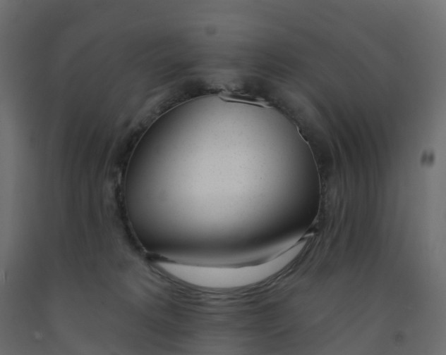 X0000091990229200710041136