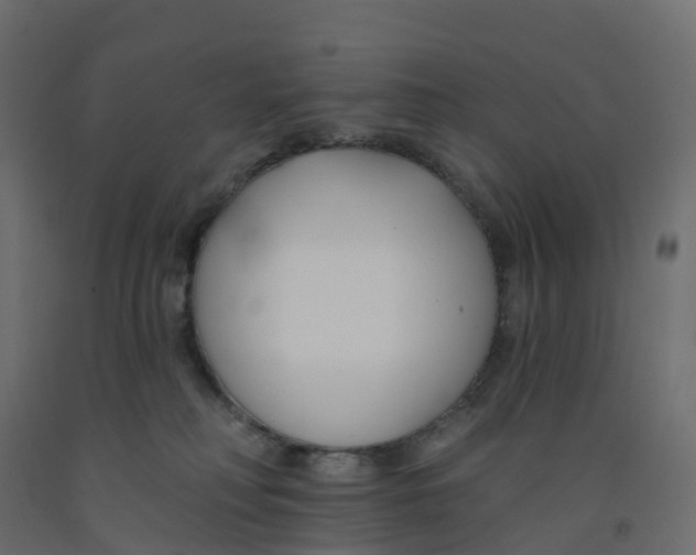 X0000091990230200710041136