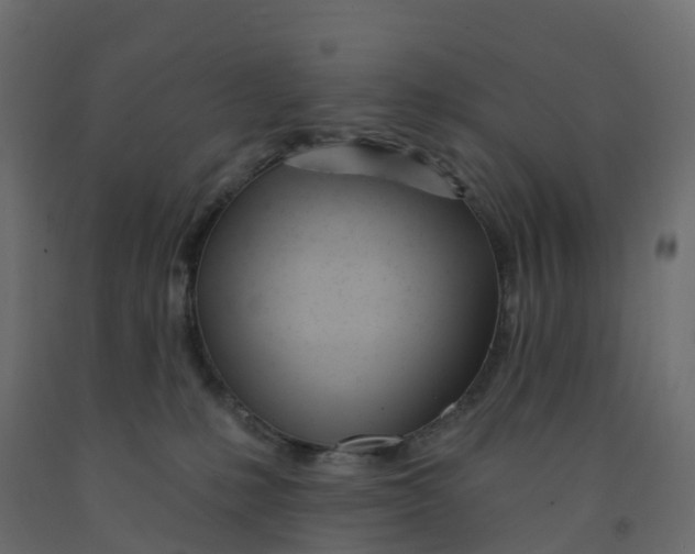 X0000091990231200710041136