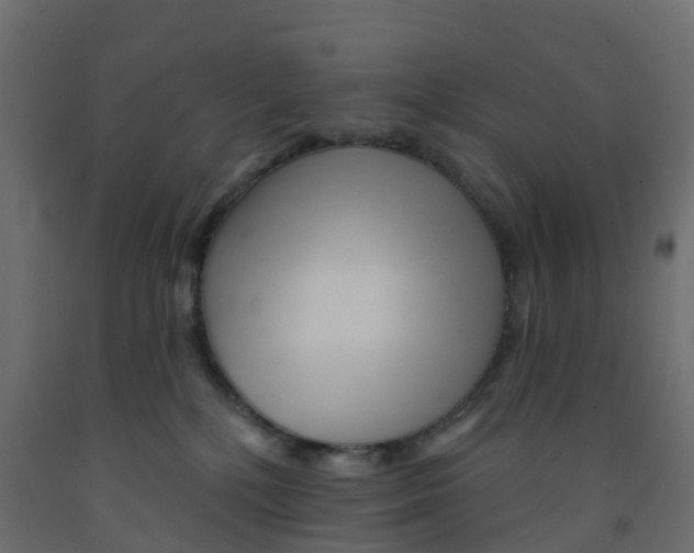 X0000091990232200710041136