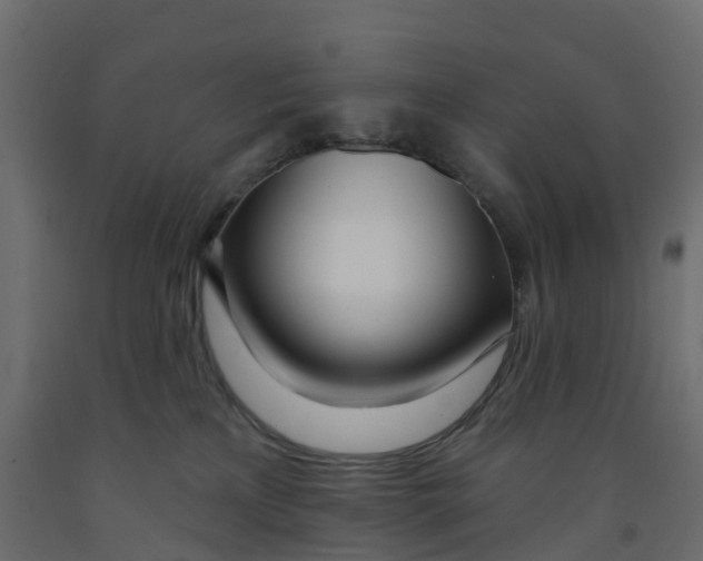 X0000091990233200710041136