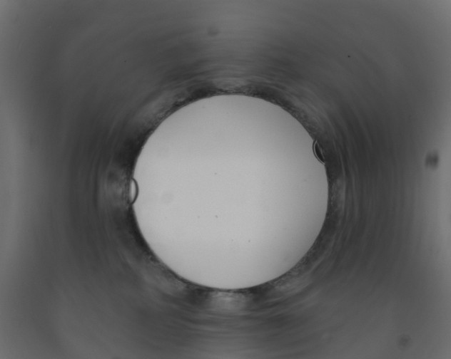 X0000091990234200710041136
