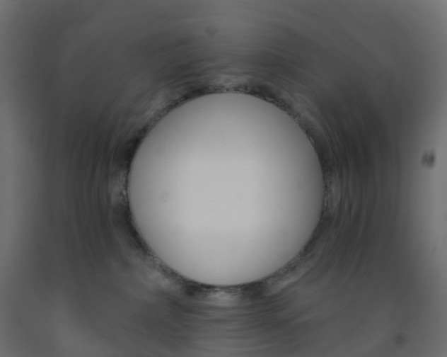X0000091990236200710041136