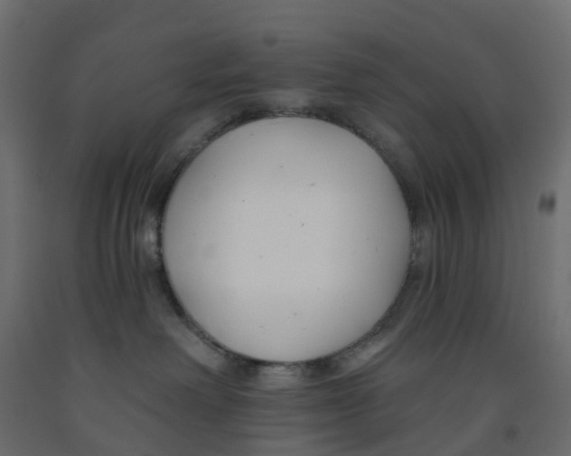 X0000091990238200710041136