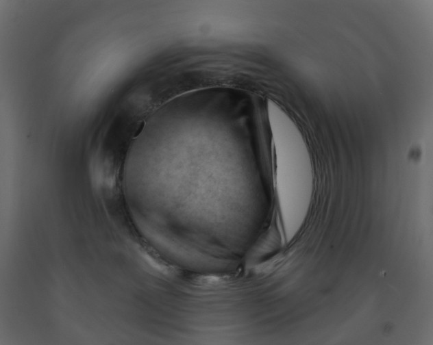 X0000091990239200710041136