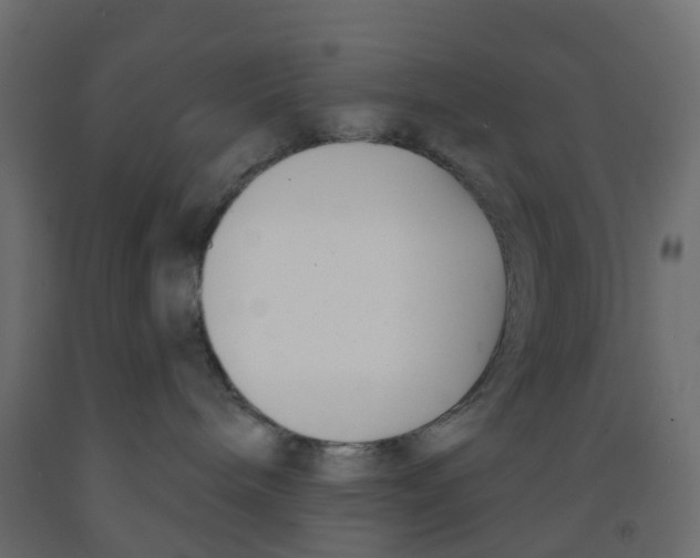 X0000091990240200710041136