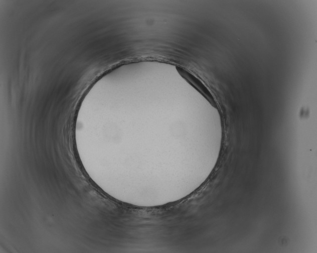 X0000091990241200710041135
