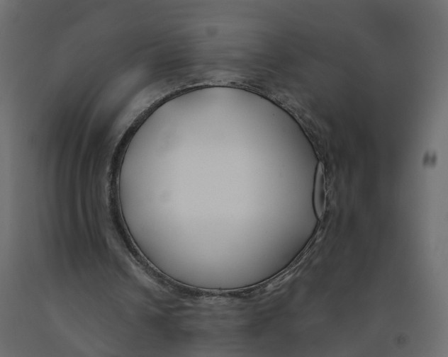 X0000091990242200710041135