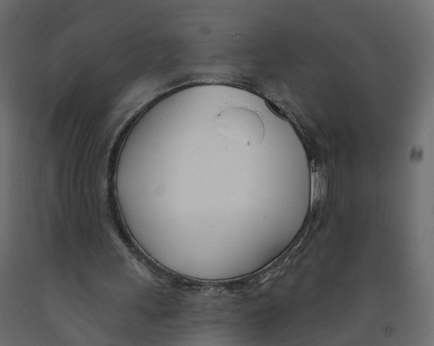 X0000091990243200710041135