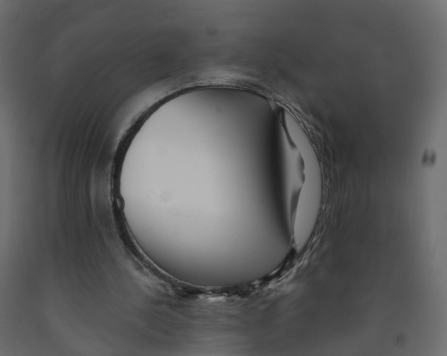 X0000091990244200710041135