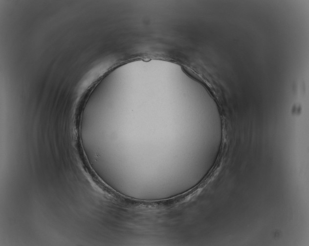 X0000091990245200710041135