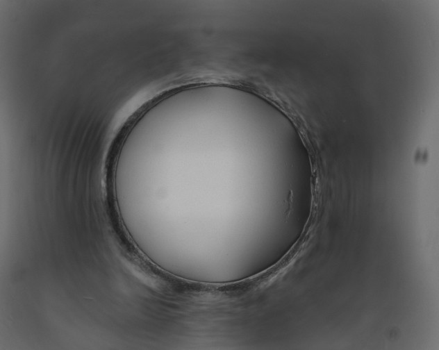 X0000091990246200710041135