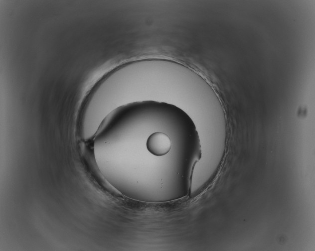 X0000091990248200710041135