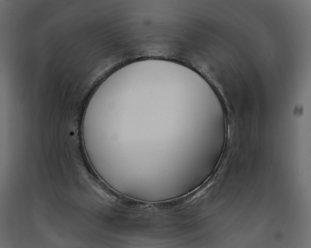 X0000091990249200710041135