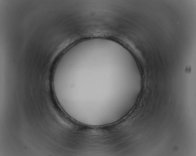X0000091990250200710041135