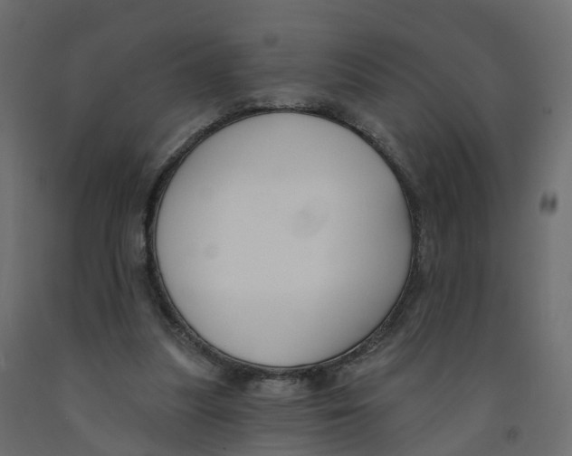 X0000091990251200710041135