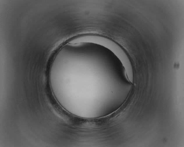 X0000091990252200710041135