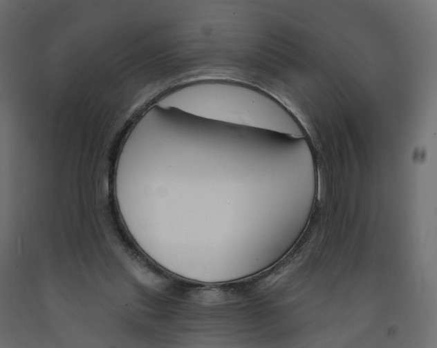 X0000091990253200710041135
