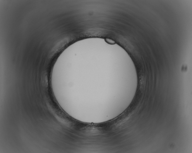 X0000091990254200710041135