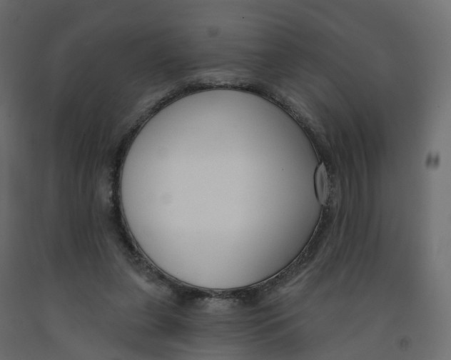X0000091990255200710041135