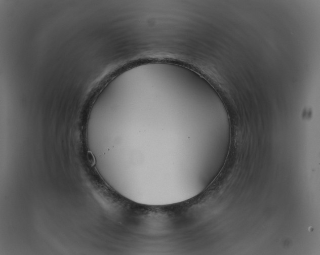 X0000091990256200710041135