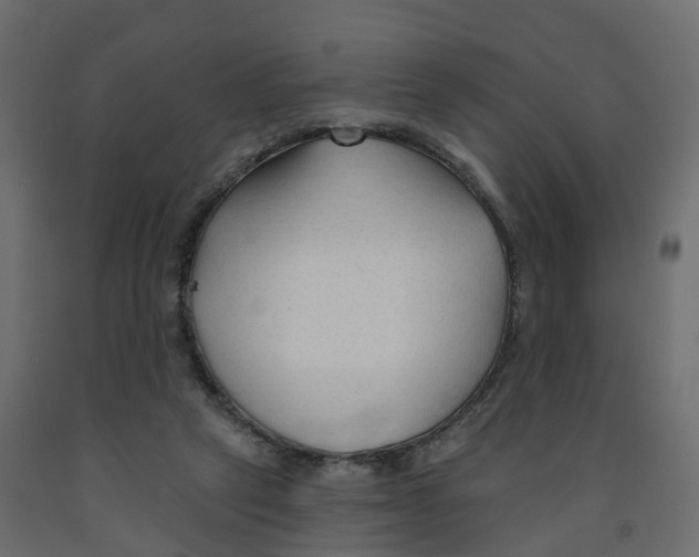 X0000091990257200710041135