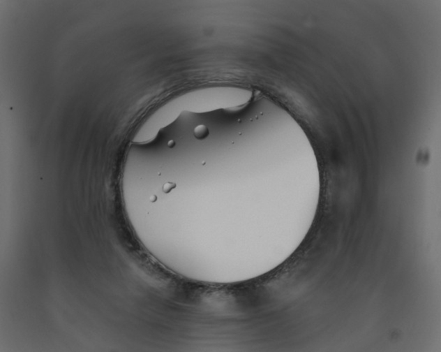 X0000091990258200710041135