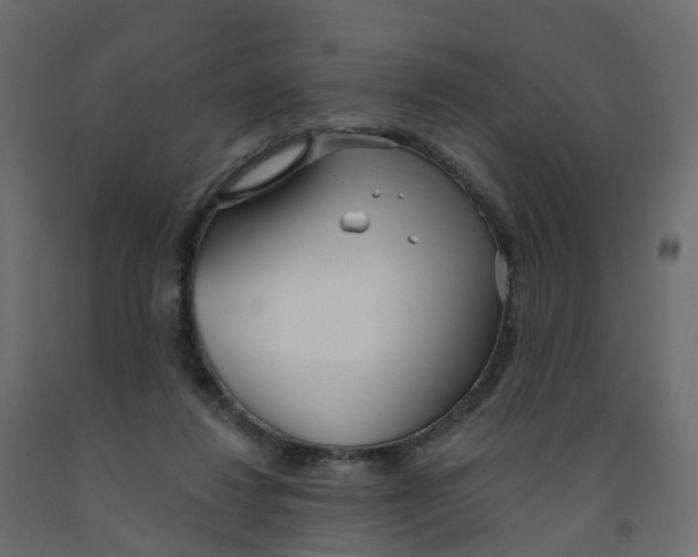 X0000091990260200710041135