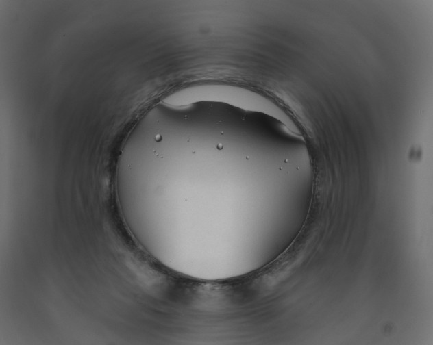 X0000091990261200710041135