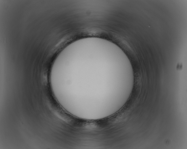X0000091990262200710041135