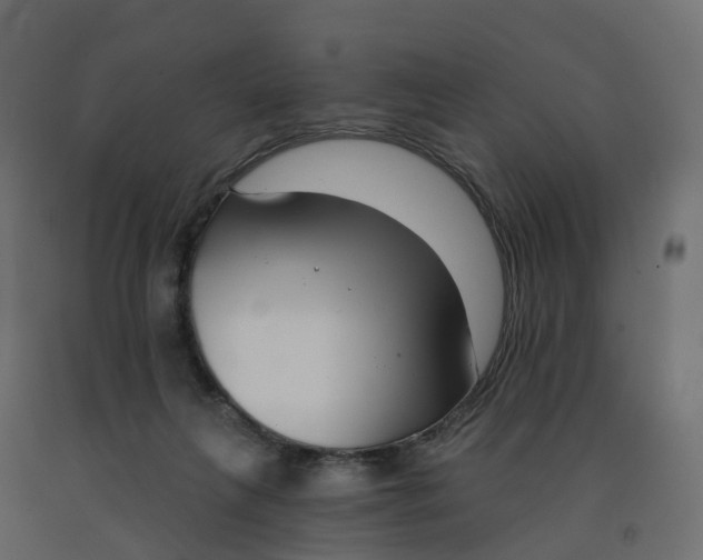 X0000091990263200710041135