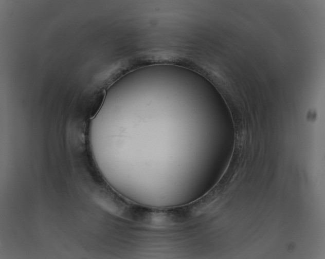 X0000091990264200710041135
