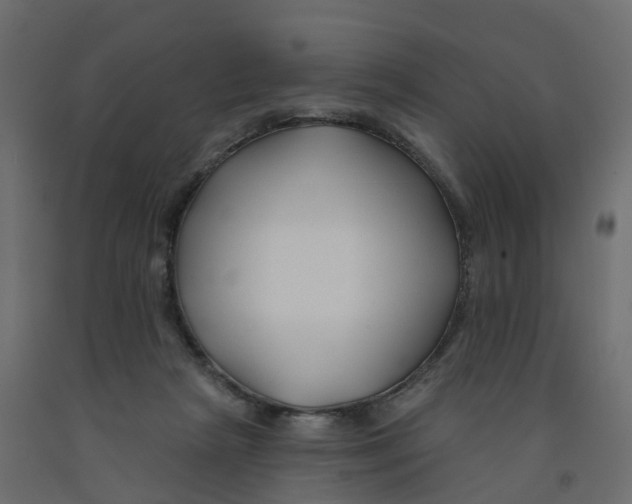 X0000091990265200710041136