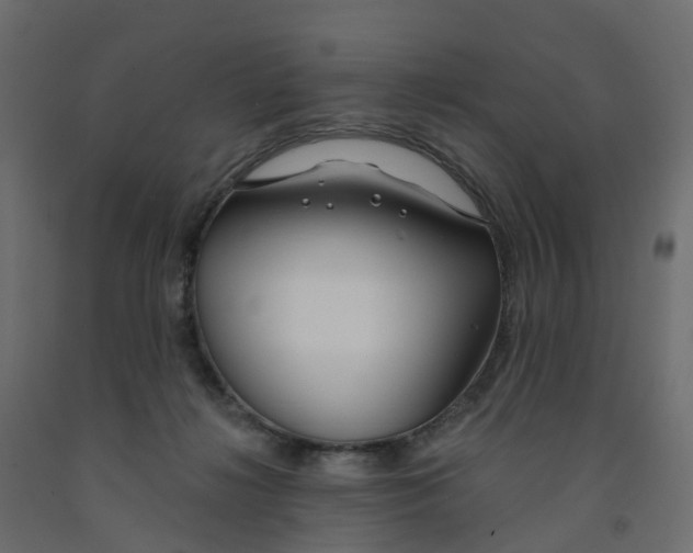 X0000091990268200710041136