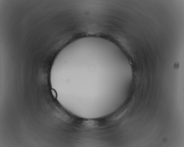 X0000091990269200710041136