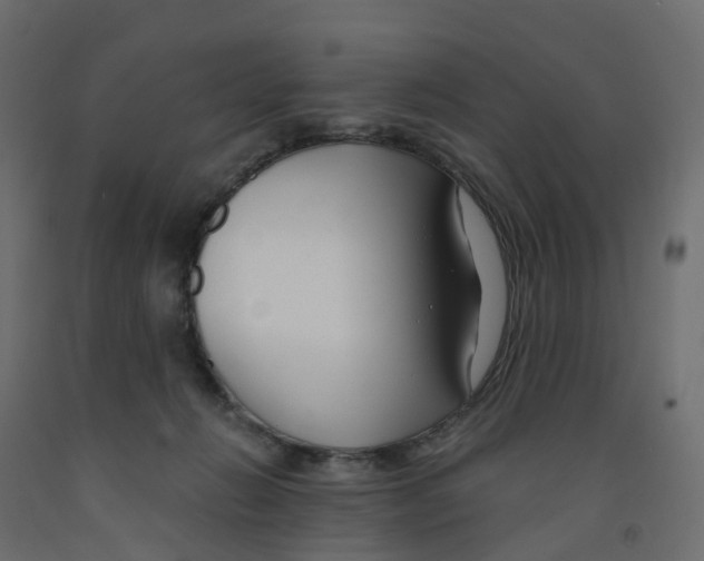 X0000091990270200710041136