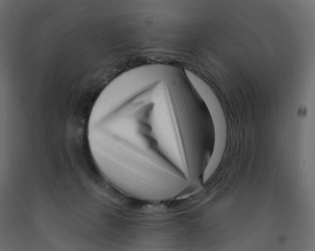 X0000091990271200710041136