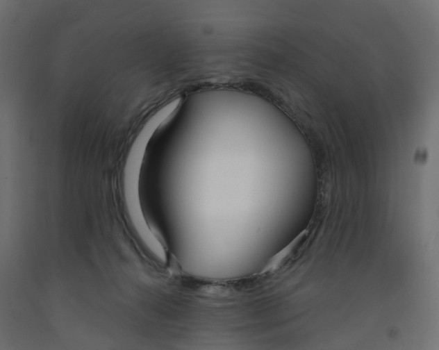 X0000091990272200710041136