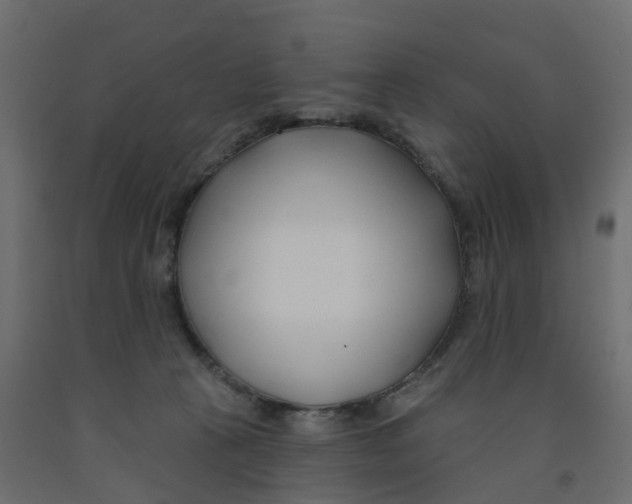 X0000091990273200710041136
