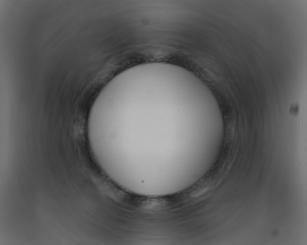 X0000091990274200710041136