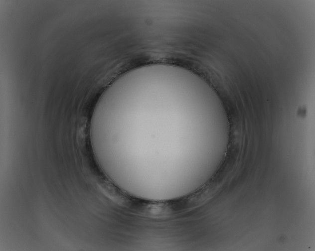 X0000091990275200710041136